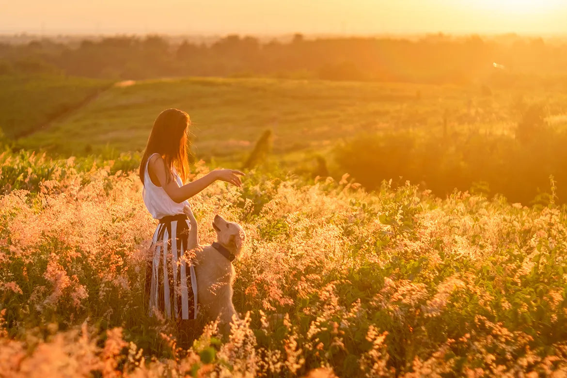 Allergies respiratoires : des solutions naturelles pour les soulager