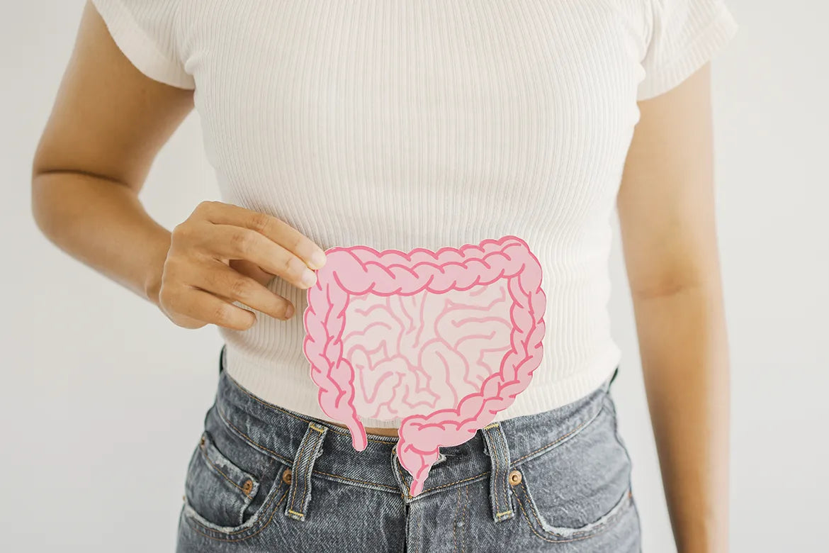 Le microbiote au coeur de votre santé